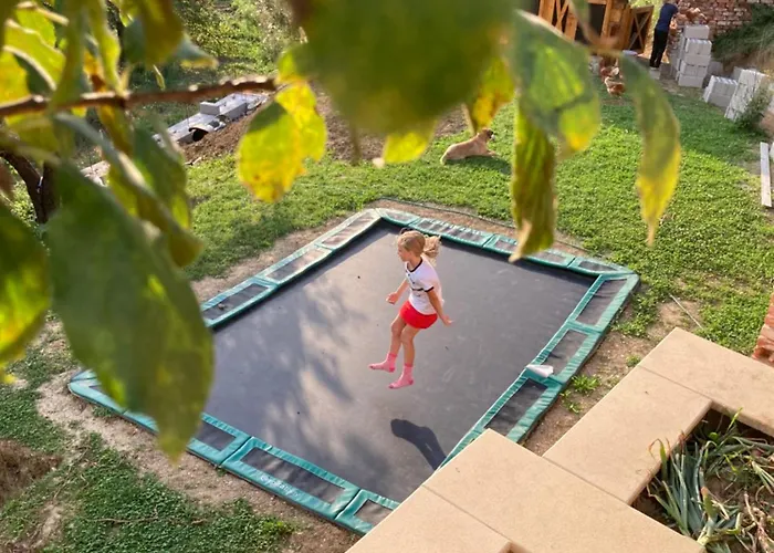 Alojamento de Turismo Selvagem The