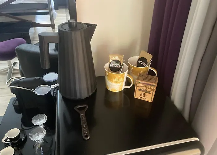 The * Rogaška Slatina